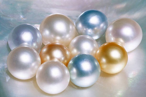 Cultured Pearls in various hues on oyster shell.