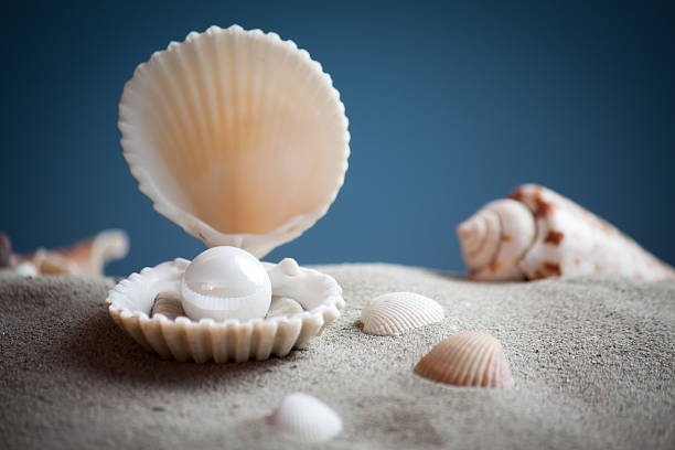 Pearl shell under the water