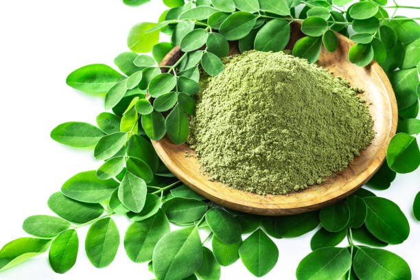 Moringa powder (Moringa Oleifera) in wooden bowl with original fresh Moringa leaves isolated on white background. Healthy product, superfood, vitamin.