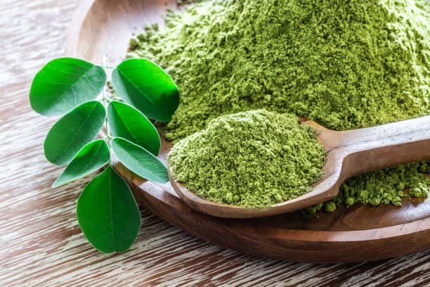Moringa powder (Moringa Oleifera) in wooden bowl with original fresh Moringa leaves on rustic background close-up. Healthy product, superfood, vitamin.