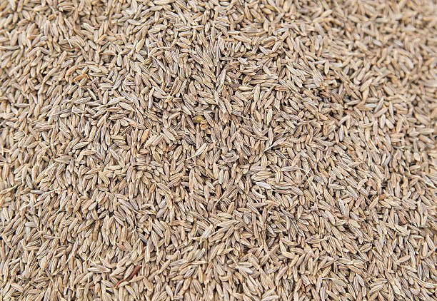Cumin seed (jeera) indian spice.